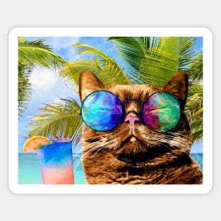 Funny Cat on Beach 675 Sticker